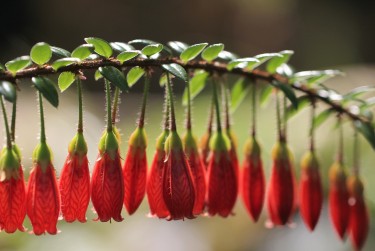 嘉兴海盐零用贷短借：轻松解决临时资金需求